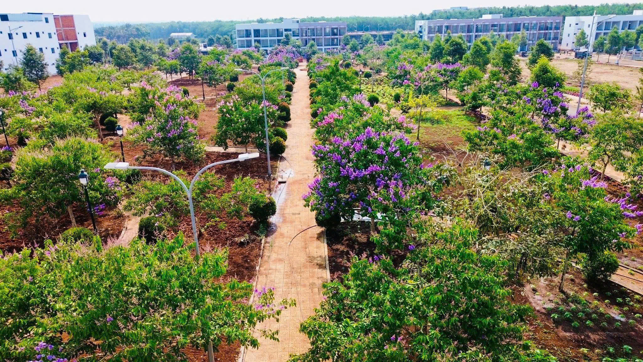 Công viên trung tâm - Căn Hộ KĐT Ân Phú 